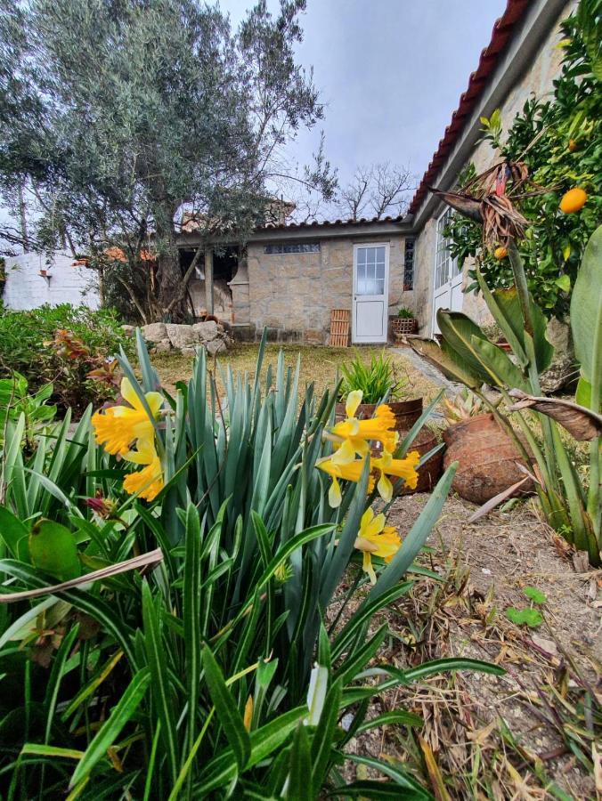 Casa Da Poca Vila Baião Exterior foto